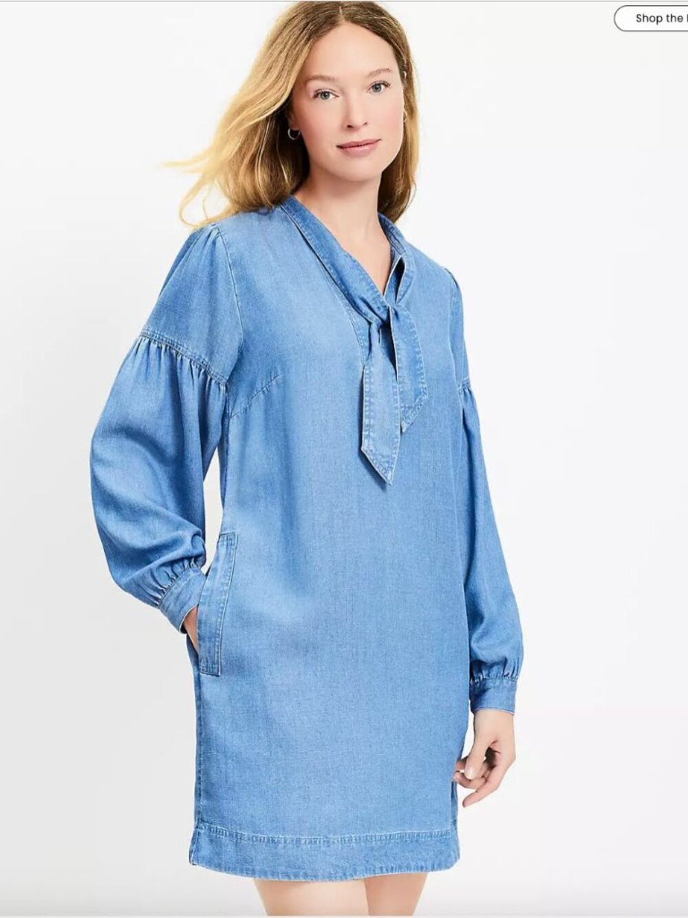 Petite Tie Neck Mini Pocket Dress - NEW without tag
